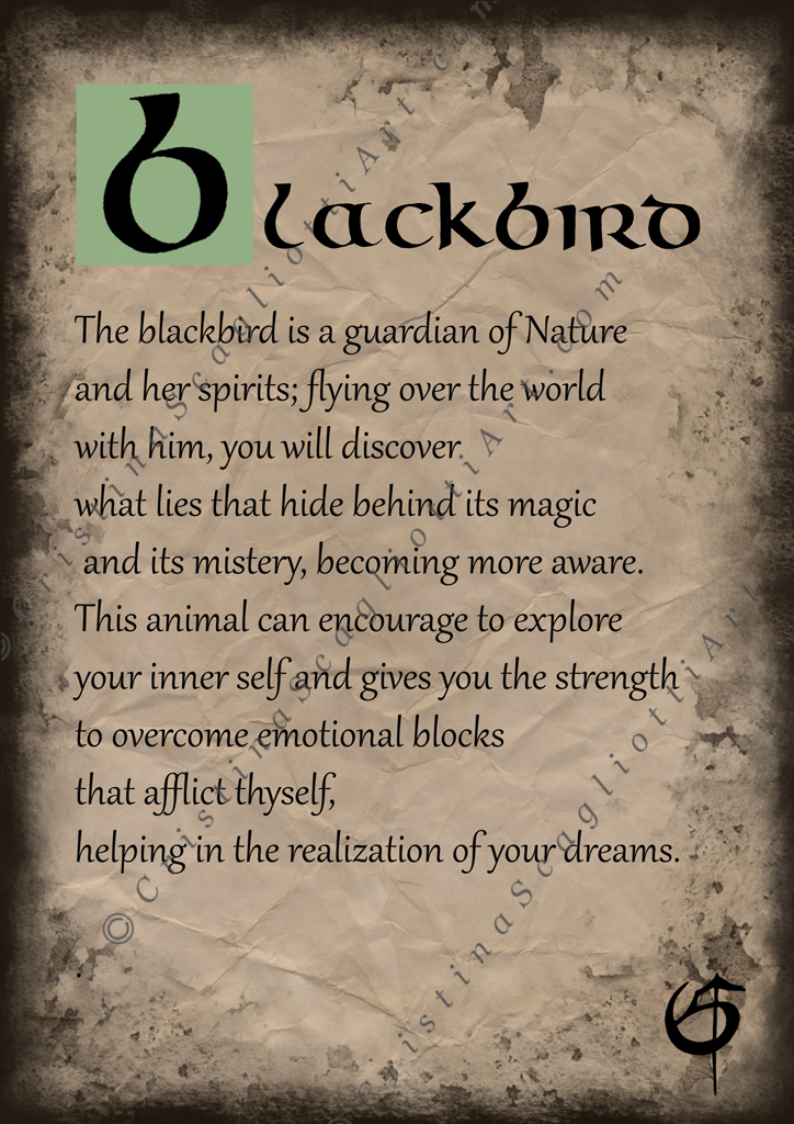 Blackbird Scroll