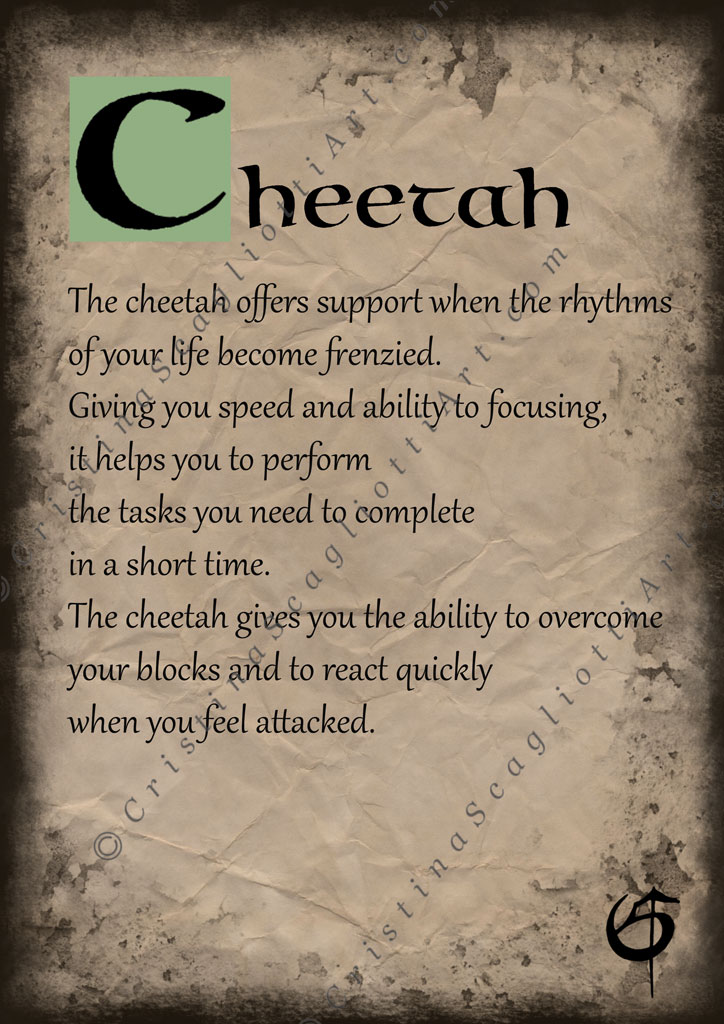 Cheetah Scroll