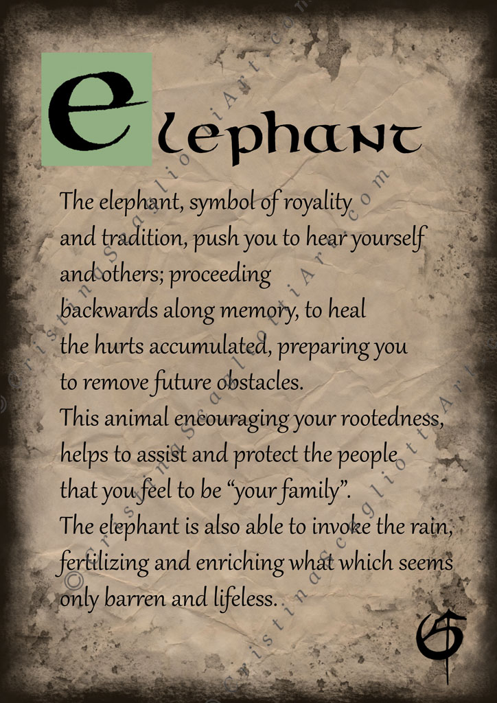 Elephant Scroll