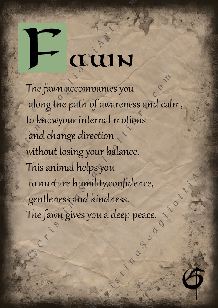 Fawn Scroll