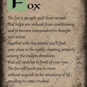 Fox Scroll