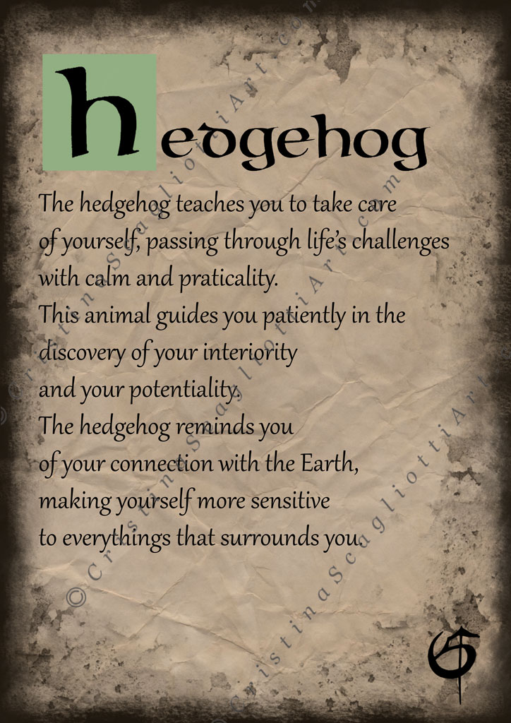 Hedgehog Scroll