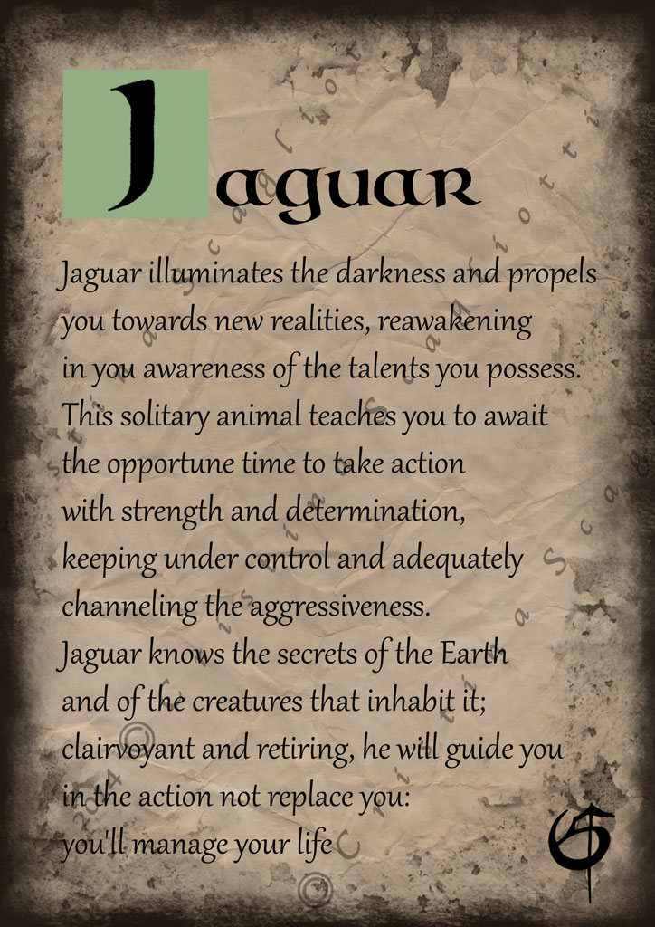 Jaguar Scroll