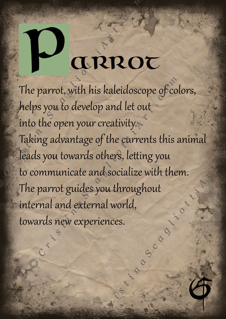 Parrot Scroll