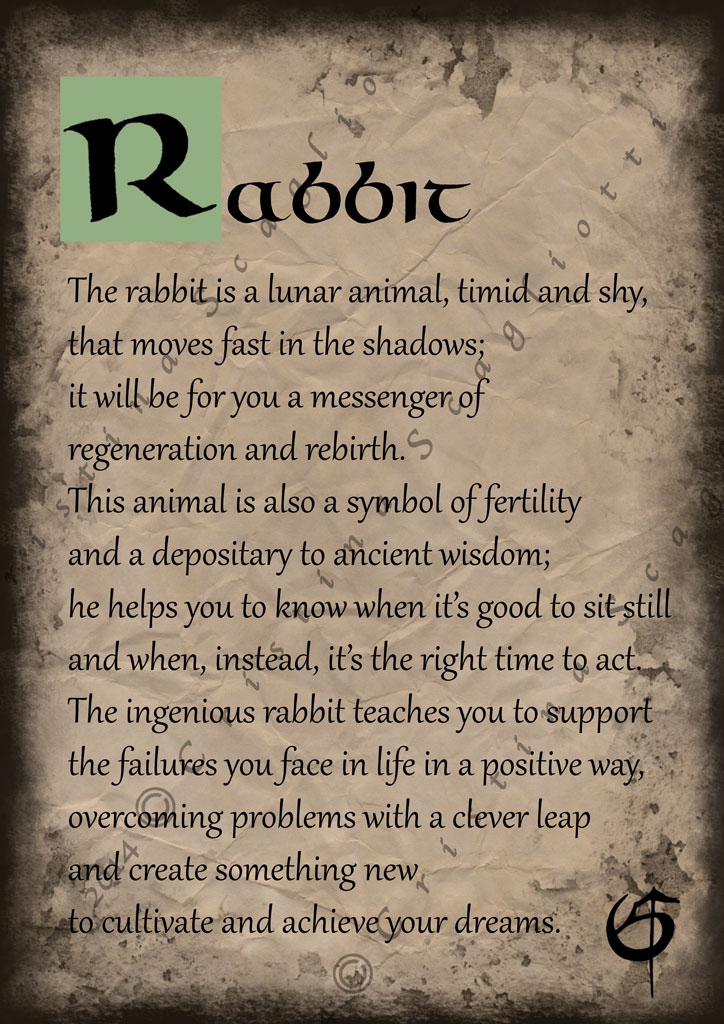 Rabbit Scroll