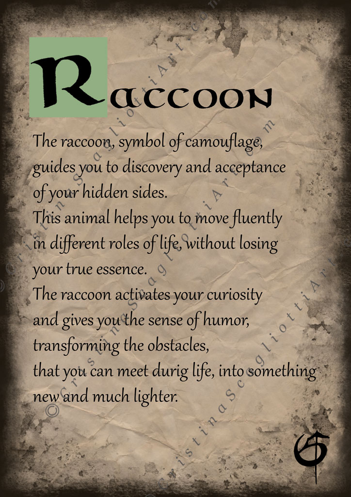 Raccoon Scroll