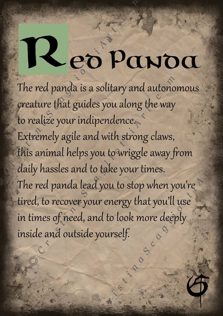 Red Panda Scroll