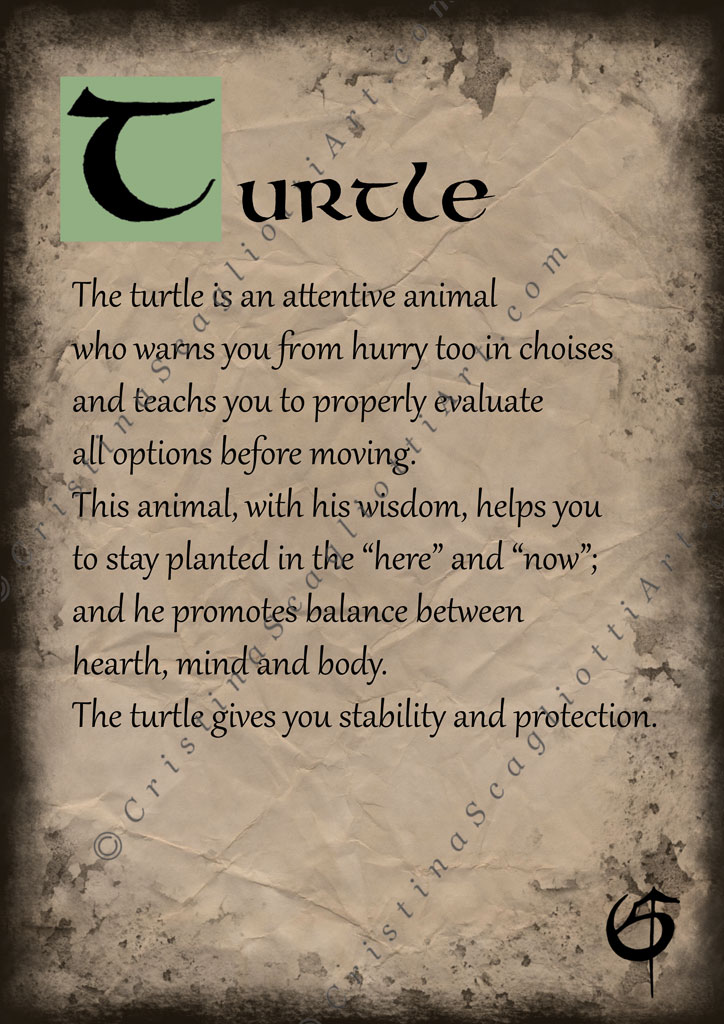 Turtle Scroll