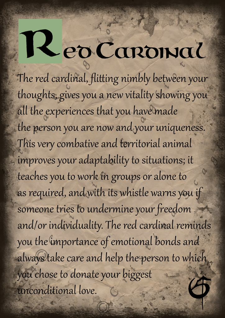Red Cardinal Scroll