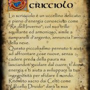 Scricciolo-2