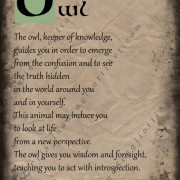 Owl Scroll