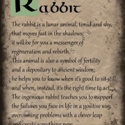 Rabbit Scroll