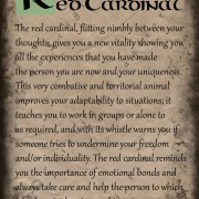 Red Cardinal Scroll