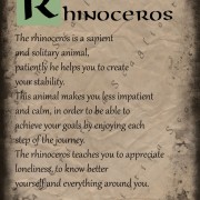 Rhinoceros Scroll