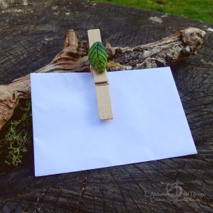 Decorative Clothespins&Gift Tags